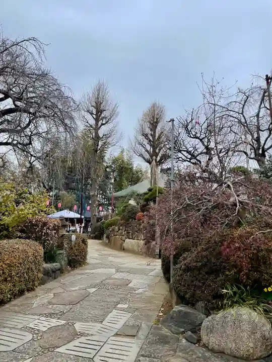 妙法寺(おおくら大佛)(東京都)