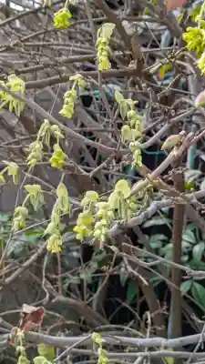 阿弥陀院(大阪府)