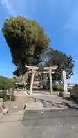 玉田神社(京都府)