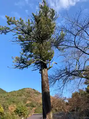 海住山寺(京都府)