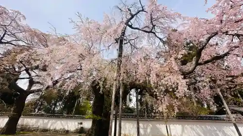 醍醐寺(京都府)