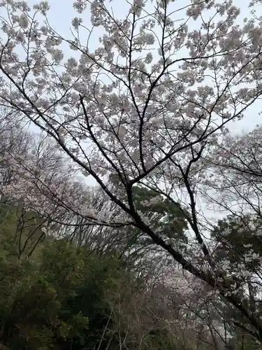 洞川八大龍王(兵庫県)