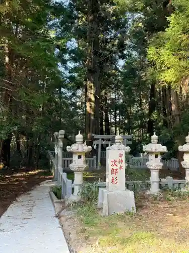 大杉神社の{uncategorized: "未分類", other: "その他", undefined: "問題あり", building: "その他建物", grave: "お墓", sacred_gate: "鳥居", guardian: "狛犬", statue: "像", buddha: "仏像", history: "歴史", nature: "自然", garden: "庭園", animal: "動物", pagoda: "塔", temizu: "手水舎", mountain_gate: "山門・神門", sanctuary: "本殿・本堂", subordinate: "末社・摂社", art: "芸術", scenery: "景色", jizo: "地蔵", ema: "絵馬", goshuin: "御朱印", omikuji: "おみくじ", items: "授与品その他", amulet: "お守り", goshuincho: "御朱印帳", eats: "食事", festival: "お祭り", votive_dance: "神楽", shichigosan: "七五三参", wedding: "結婚式", experience: "体験その他", initially: "初詣", around: "周辺", anti_infection: "感染症対策"}