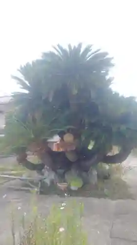 井際山 如意輪寺(愛知県)