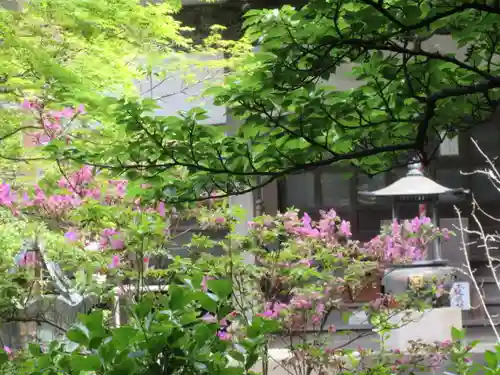 安國論寺（安国論寺）の景色