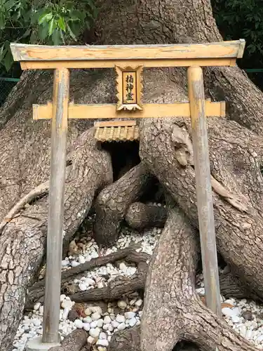 和泉國一之宮　大鳥大社の鳥居