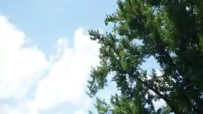 護王神社(京都府)
