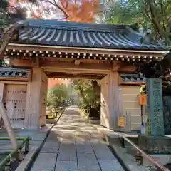 報国寺の山門