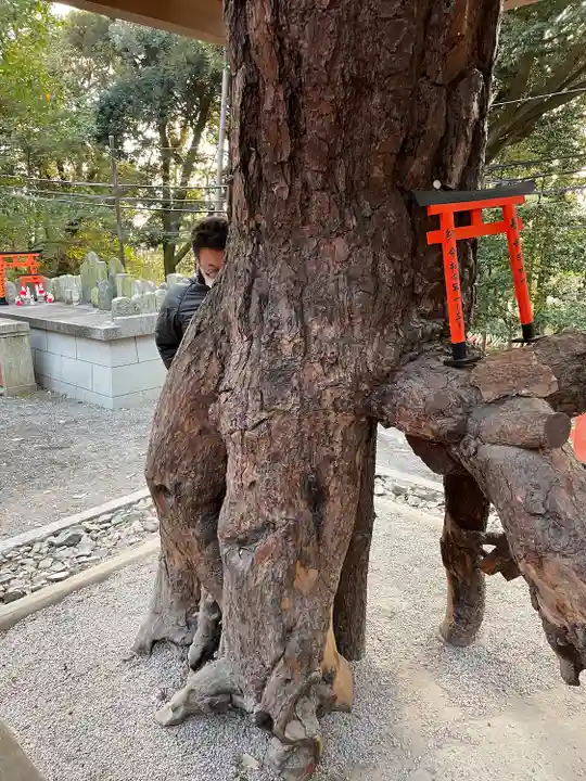 伏見稲荷大社の自然