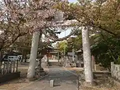 根崎八幡神社の鳥居