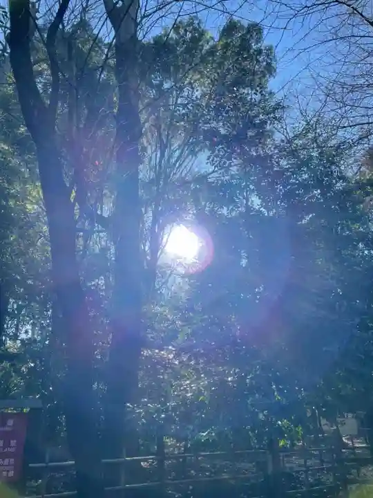 大國魂神社(東京都)