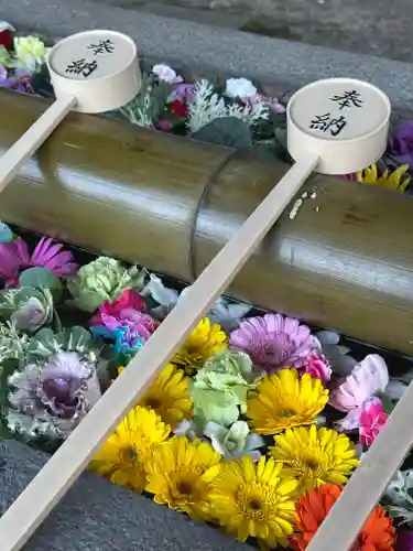 群馬県護国神社(群馬県)