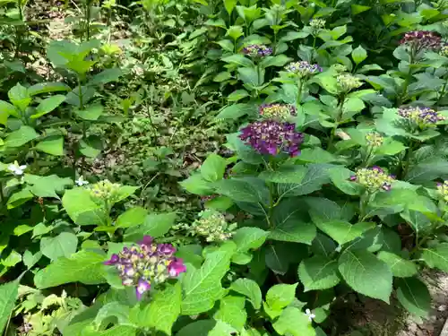 長命寺(東京都)