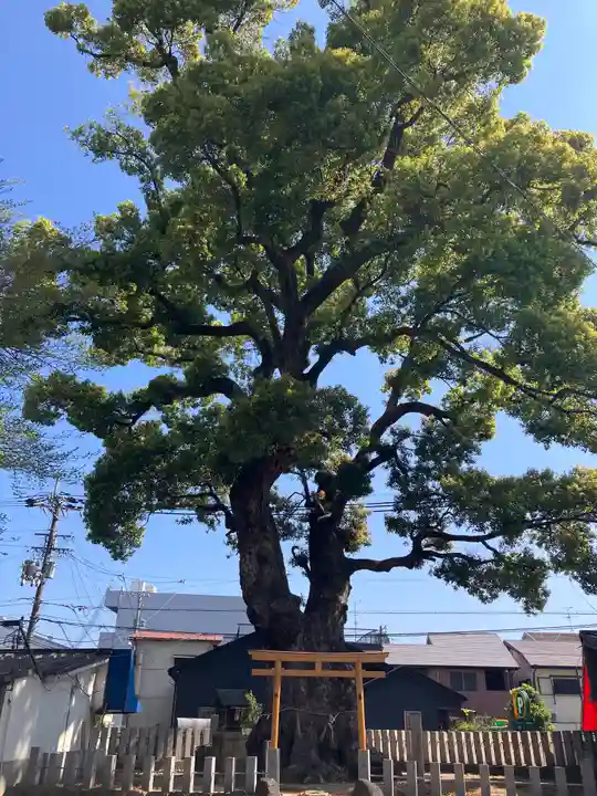 渋川神社(大阪府)