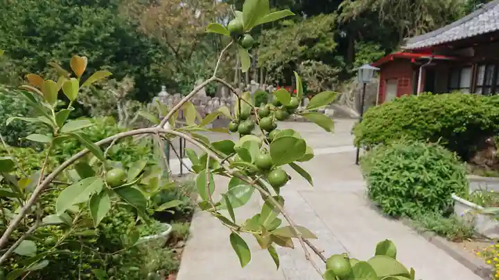 隠了寺のその他建物