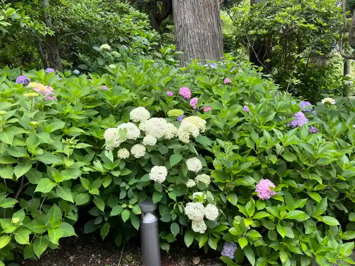 勝尾寺(大阪府)