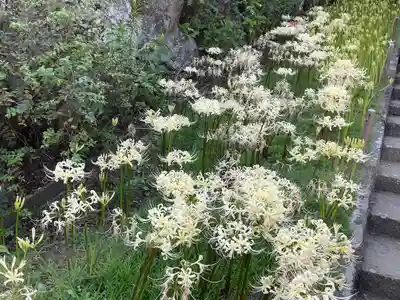 横浜　西方寺(神奈川県)