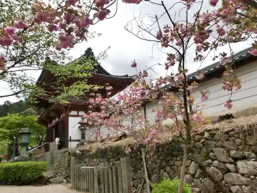 金剛寺のその他建物