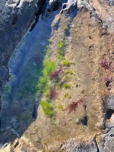 洲崎神社(千葉県)