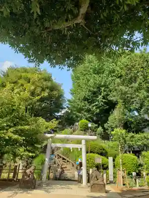 鳩森八幡神社の鳥居