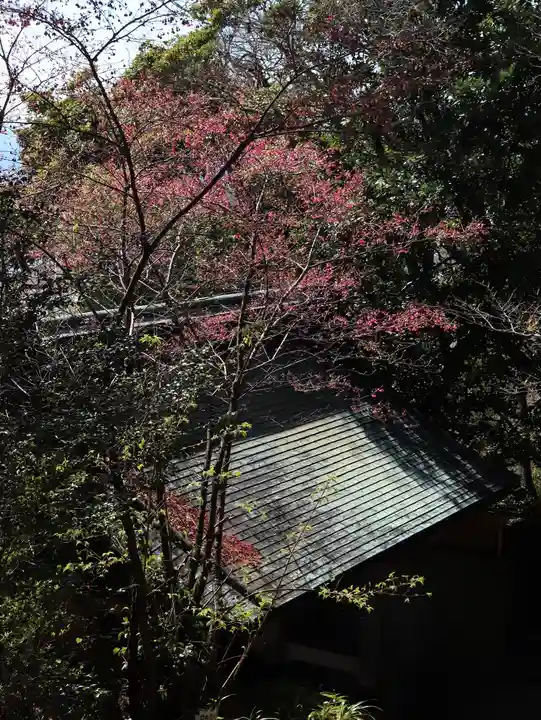 久能山東照宮(静岡県)