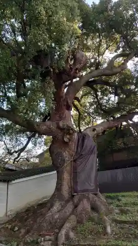 青蓮院門跡(京都府)