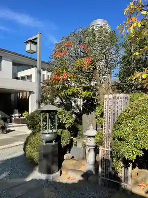 圓通寺(東京都)