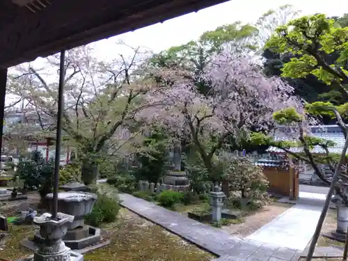 安養寺(福井県)