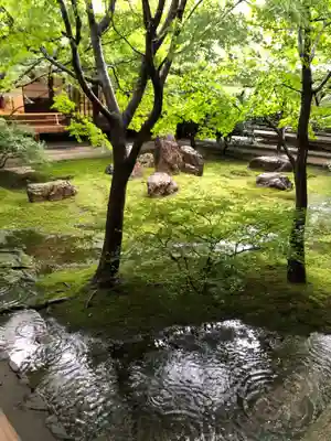 建仁寺（建仁禅寺）(京都府)