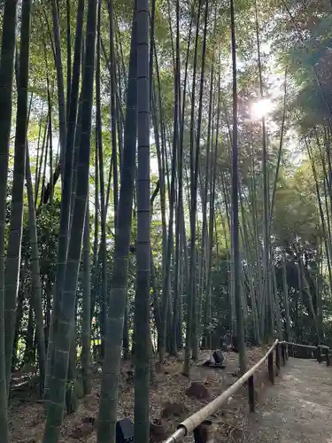 高台寺（高台寿聖禅寺・高臺寺）(京都府)