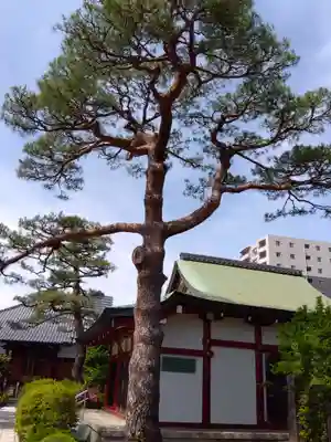 善明寺(東京都)