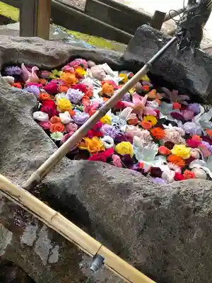 河口浅間神社(山梨県)