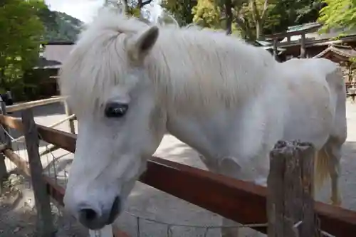 天河大辨財天社(奈良県)
