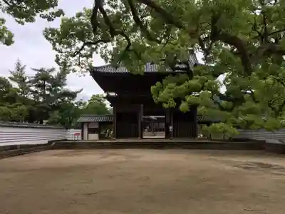 周防国分寺(山口県)