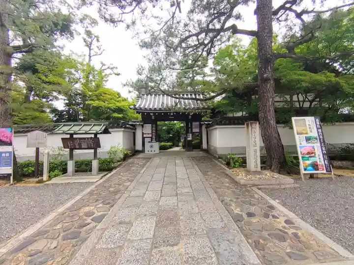 退蔵院(京都府)