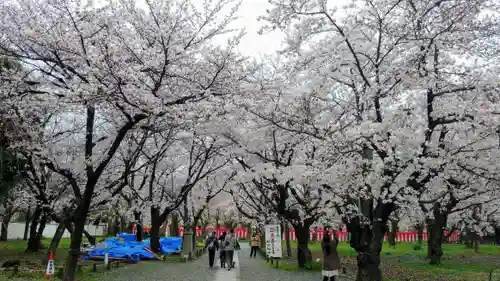 平野神社の自然