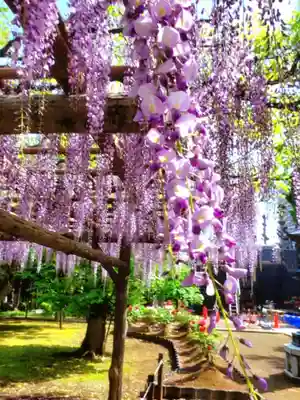 愛染院(東京都)