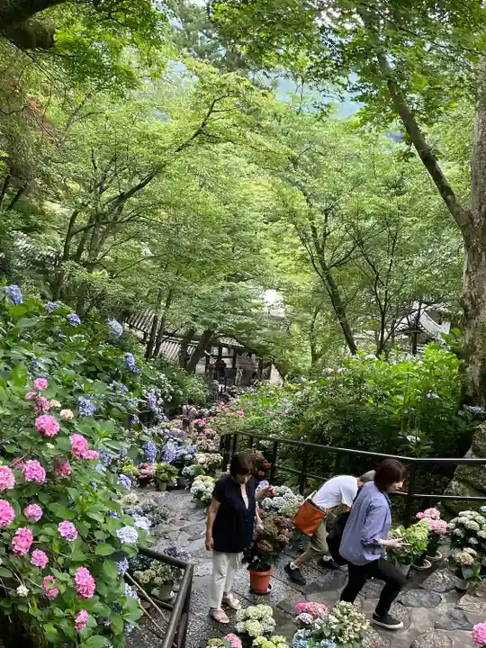 長谷寺(奈良県)