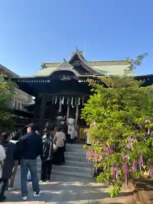 桜神宮(東京都)