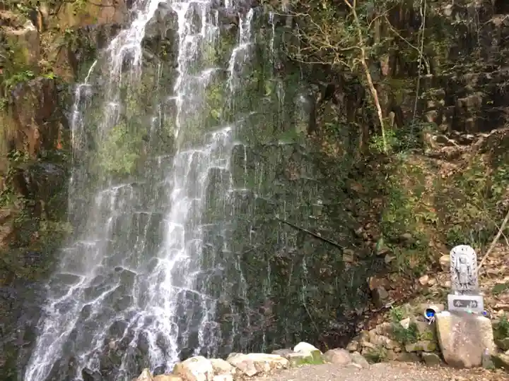 瀧神社(都農神社末社(奥宮))の自然