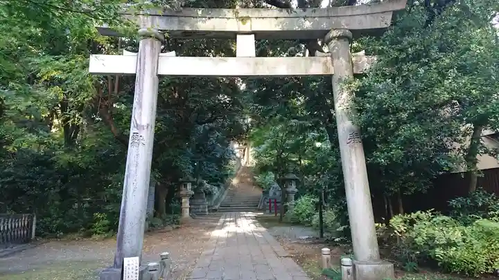 赤坂氷川神社の鳥居