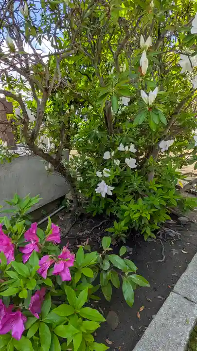 剣神社(京都府)