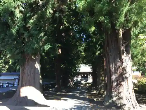 河口浅間神社のその他建物