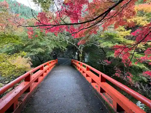 西明寺(京都府)