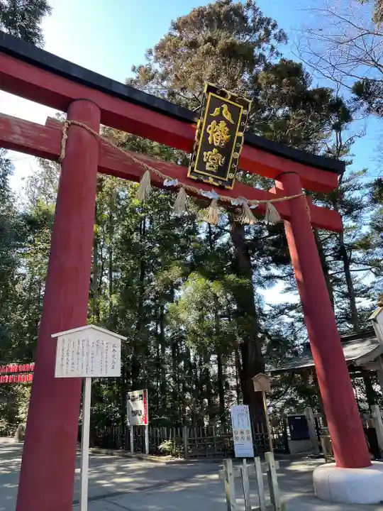 大崎八幡宮(宮城県)