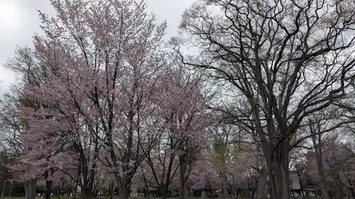 上川神社頓宮の自然