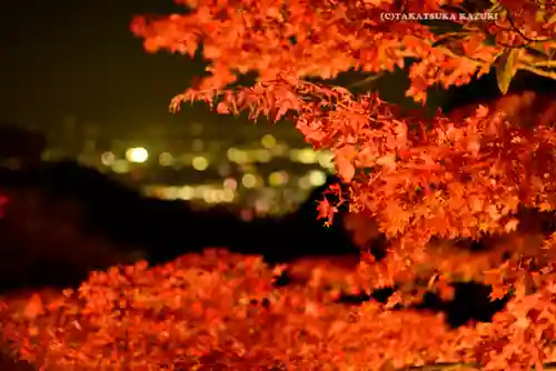大山寺(神奈川県)