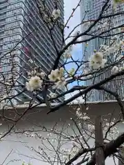 愛宕神社(東京都)