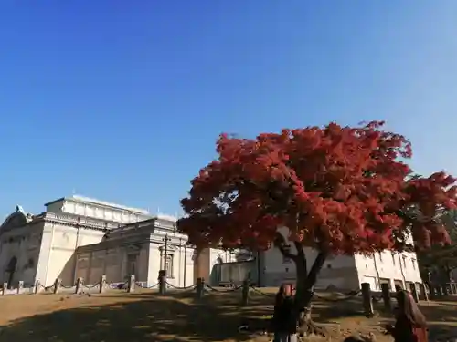 興福寺 南円堂の周辺