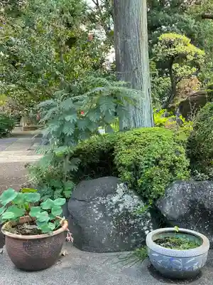 大福寺(東京都)